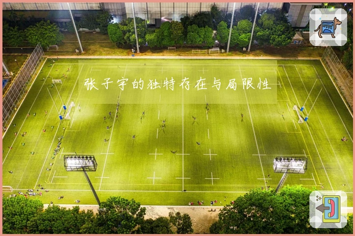 张子宇的独特存在与局限性