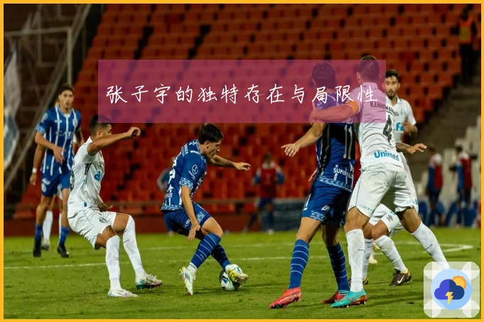 张子宇的独特存在与局限性